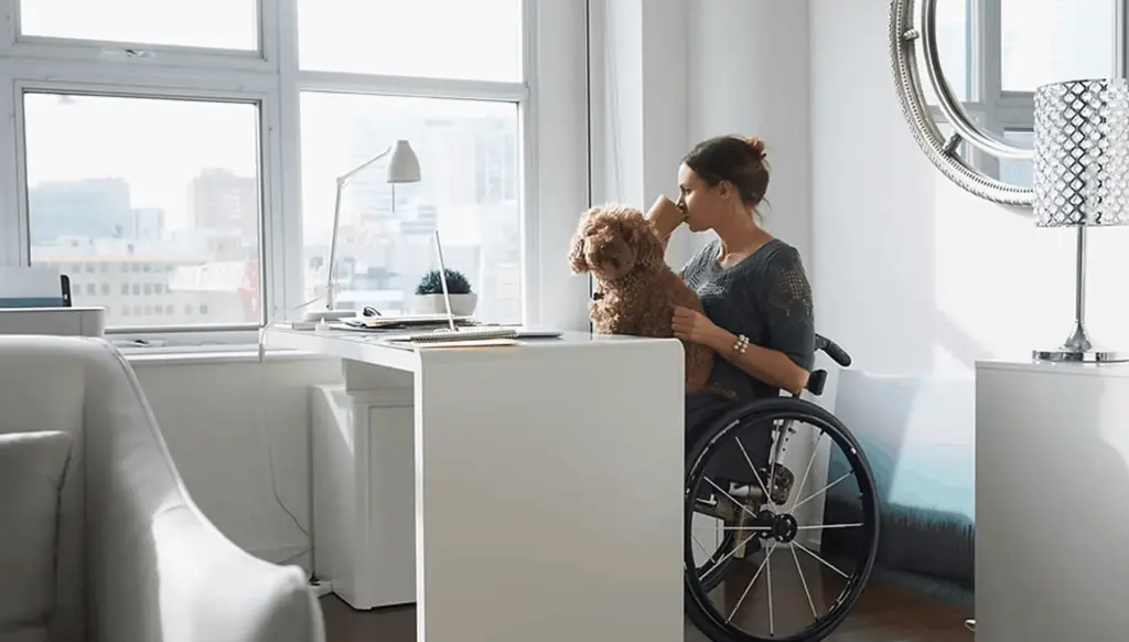 Accessible Workspace with Companion